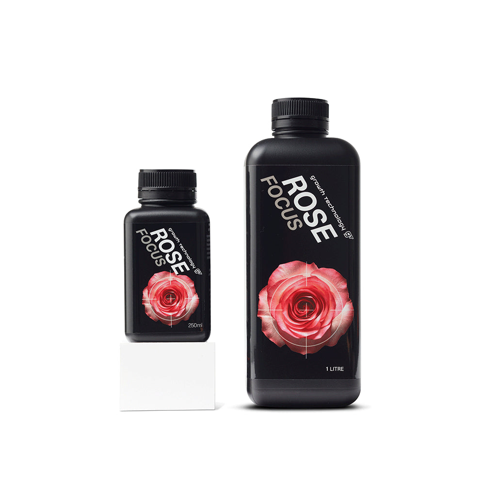 Growth Technology GT Rose Focus